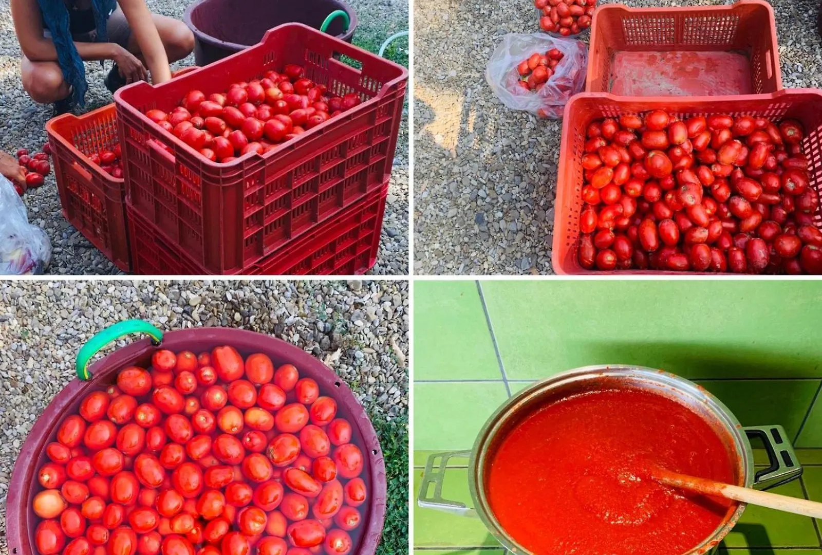 Farma Agriturismo Prato Del Re Prignano sulla Secchia Itálie