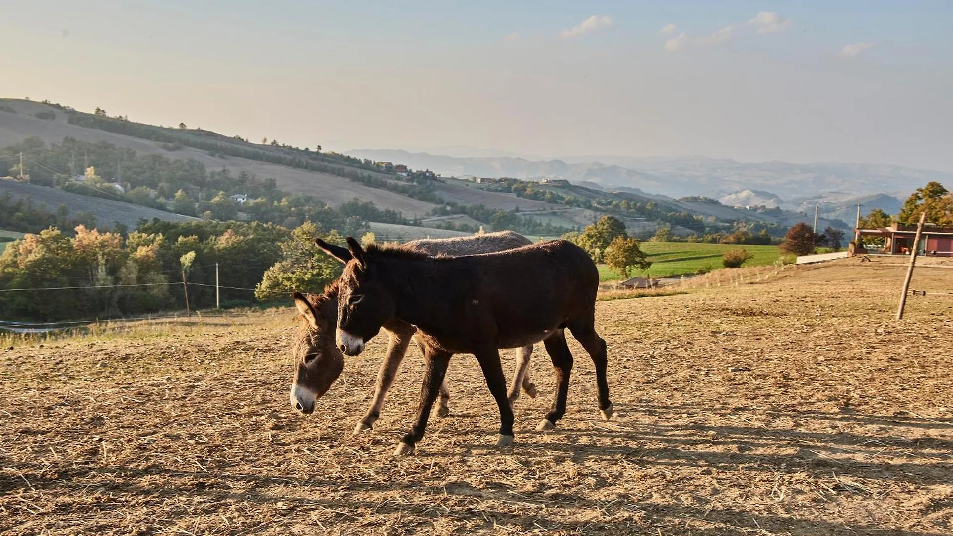 Agriturismo Prato Del Re Prignano sulla Secchia 0*,