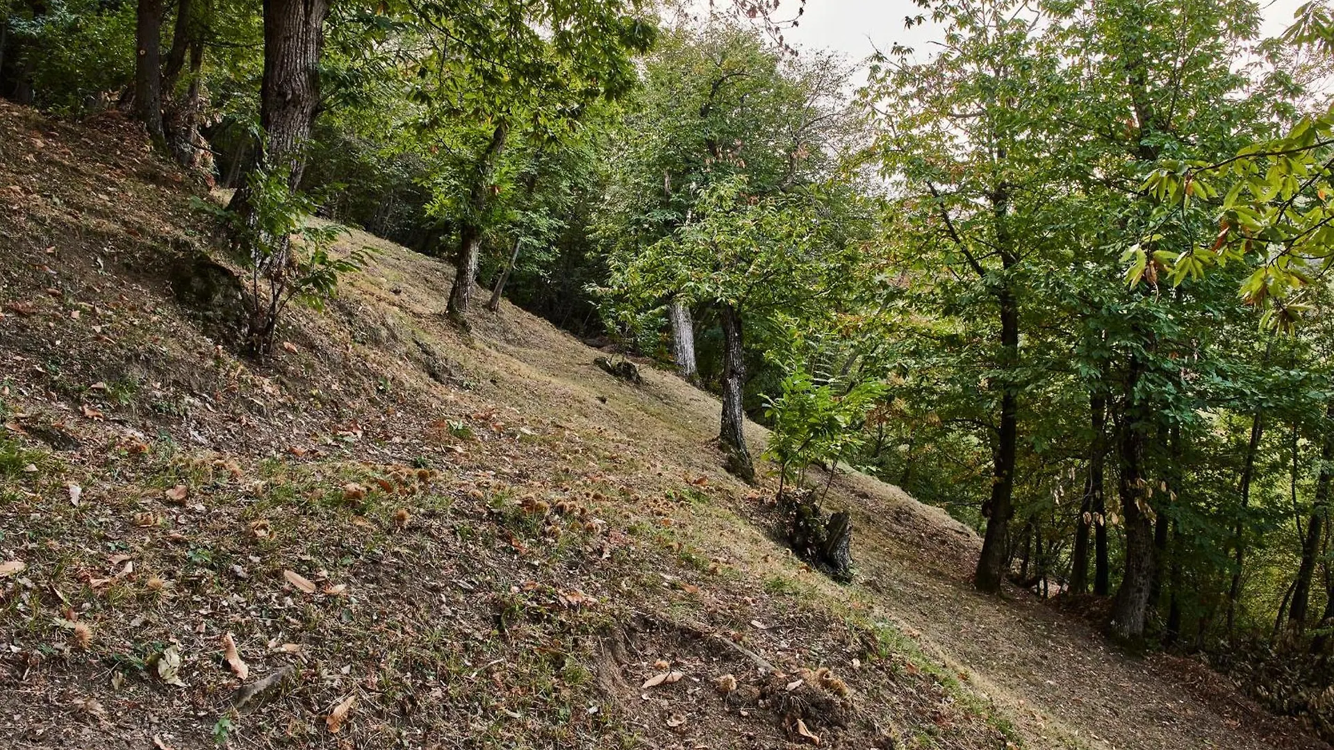 Agriturismo Prato Del Re Prignano sulla Secchia Farma